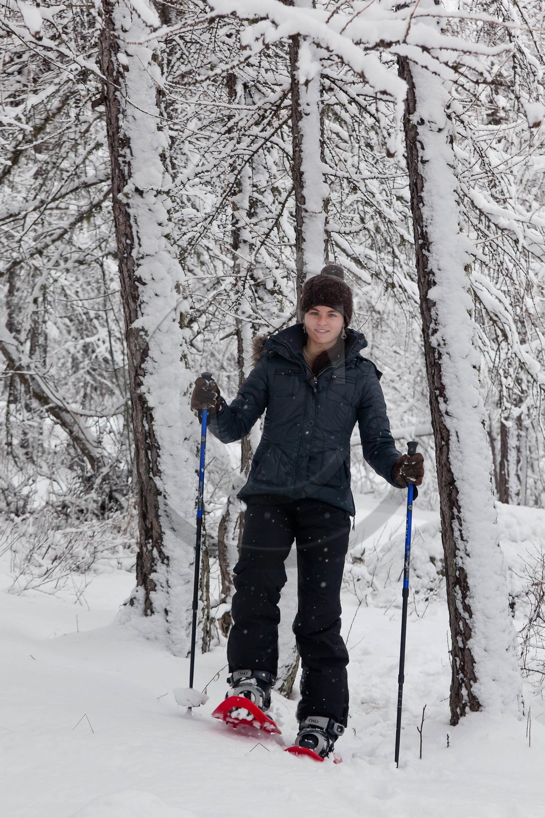 Randonnée, balade en raquettes à neige