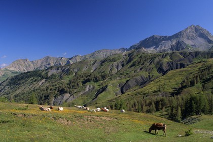 Col des Champs et la Tête de l'Encombrette