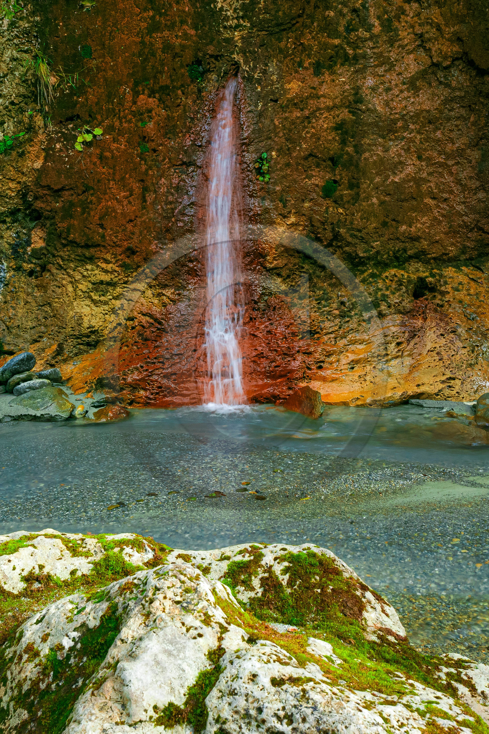 Réserve naturelle des Contamines-Montjoie, source ferrugineuse dans le torrent de Tré-la-Tête