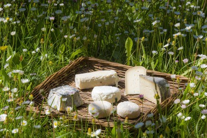 Noémie Kreiss et Julien Kaquet, Ferme des Cabrioles
