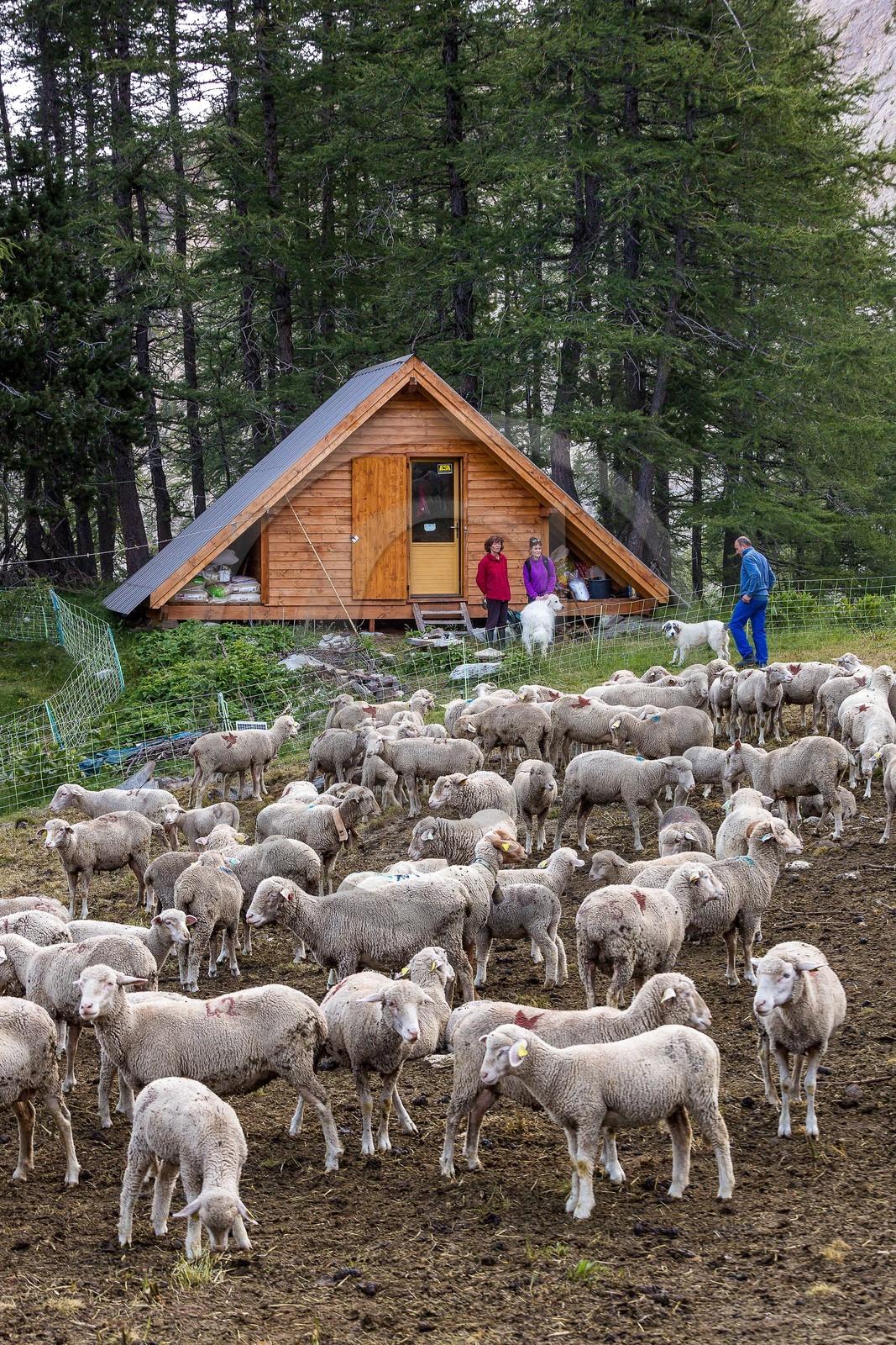 Ubaye, Vallon du Laverq
