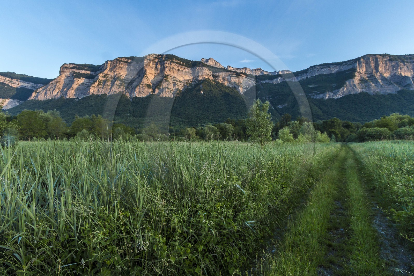 ENS de l'Isère, Marais de Montfort