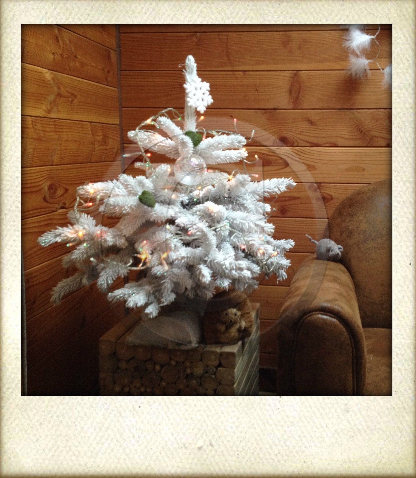 Pépinière Robin, producteur de sapin de Noël