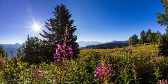 ENS de l'Isère, Plateau de la Molière et du Sornin, du plateau de Sornin
