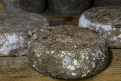 Gaec La chèvrerie des Combettes
