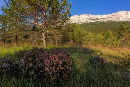ENS de l'Isère,Tourbières du Peuil