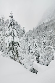Réserve naturelle de Sixt-Passy, Le Giffre, Sixt-Fer-à-Cheval