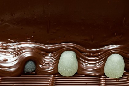 Vallée du Champsaur & Valgaudemar, Thierry SIAT Compagnon-chocolatier-patissier