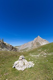 Vallon de l'Orrenaye, renoncule de Kupfer et le Bec du Lièvre