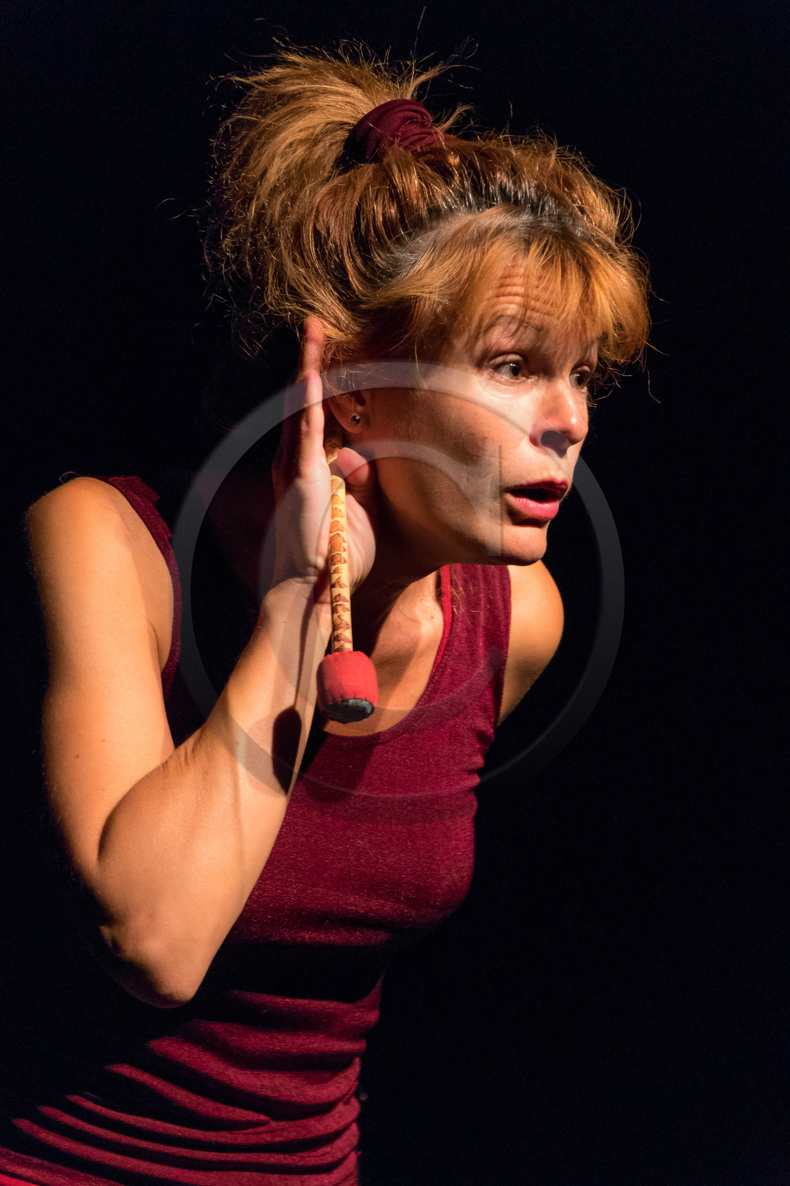 Festival L'Echo des mots