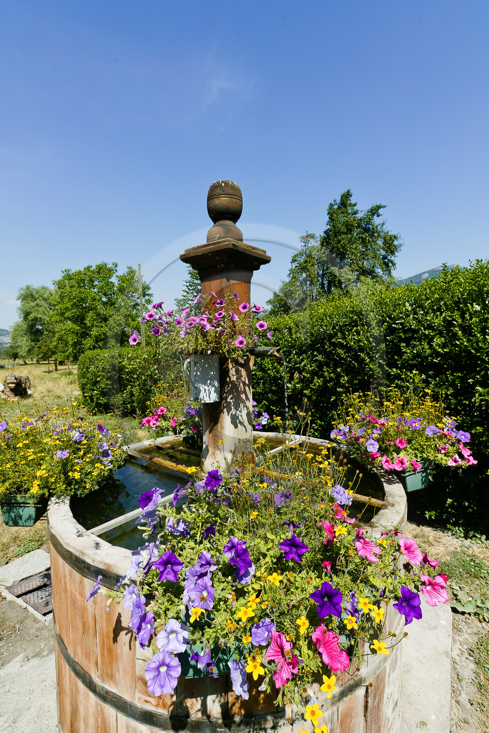 Auberge du Moulin, fontaine fleurie