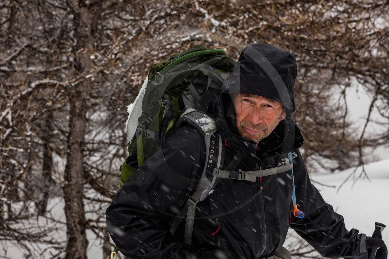 Film : La vallée des loups