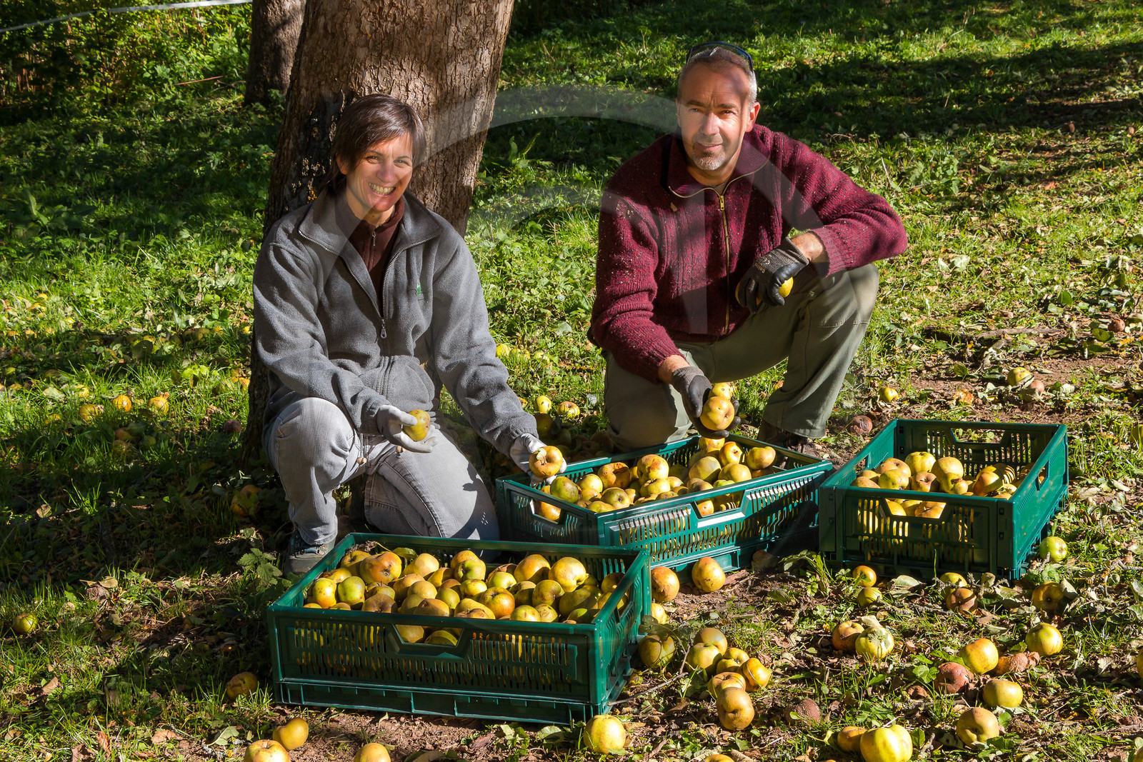 Etablissement Gayral, producteur de jus