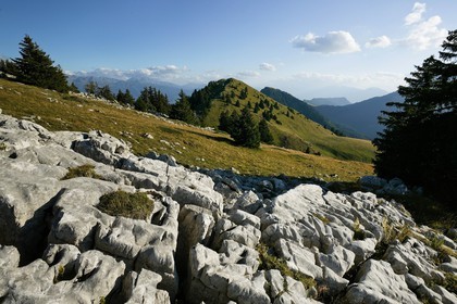 Espace naturel sensible de l'Isère, Pravouta, Lapiaz