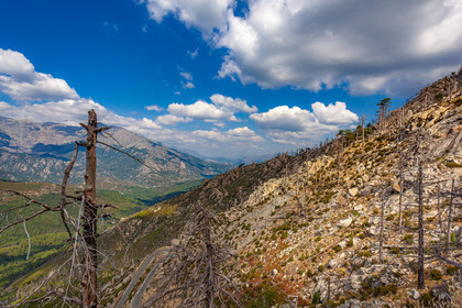 Col de Vergio