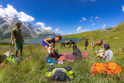 Trek famille avec animaux de bats