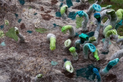 Sentiers Art et Nature Queyras et Val Varaita, Stéphanie Cailleau
