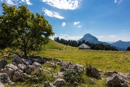 Espace naturel sensible de l'Isère, Col du Coq