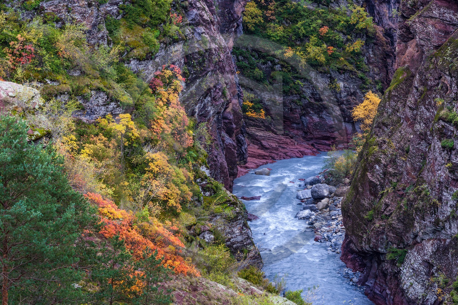Gorges de Daluis