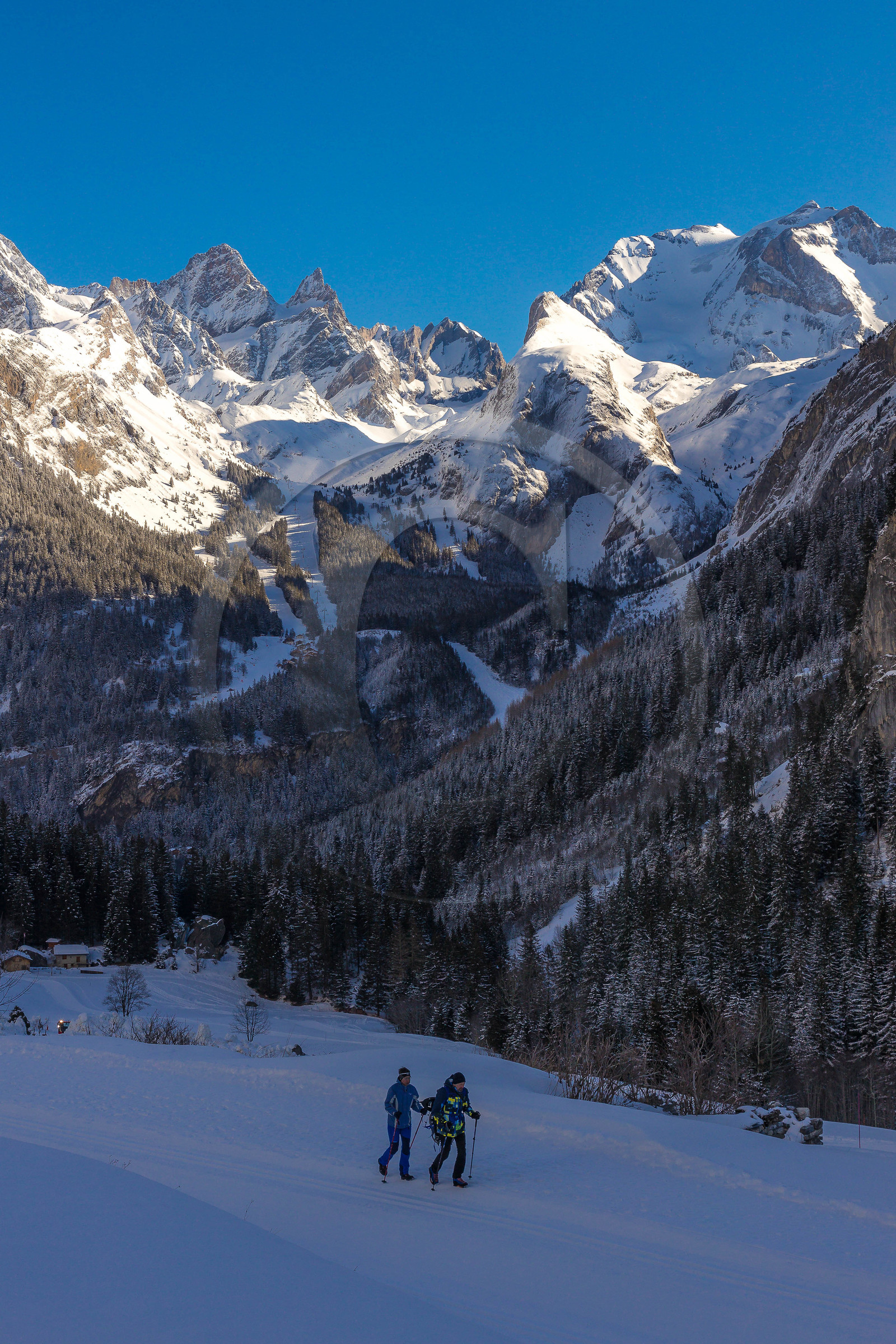 Pralognan-la-Vanoise, La Chollière