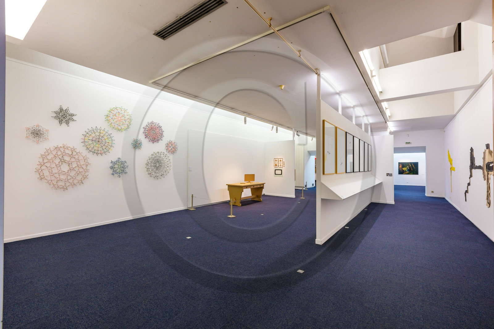 Gap, Musée Muséum départemental des Hautes-Alpes