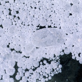 Délices de gel