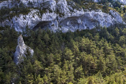Gréolières