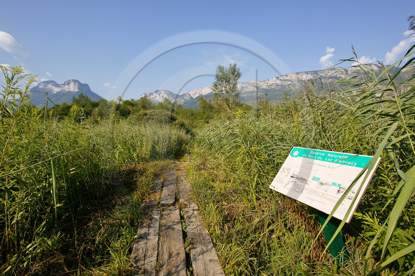 Réserve naturelle du Bout du Lac d'Annecy