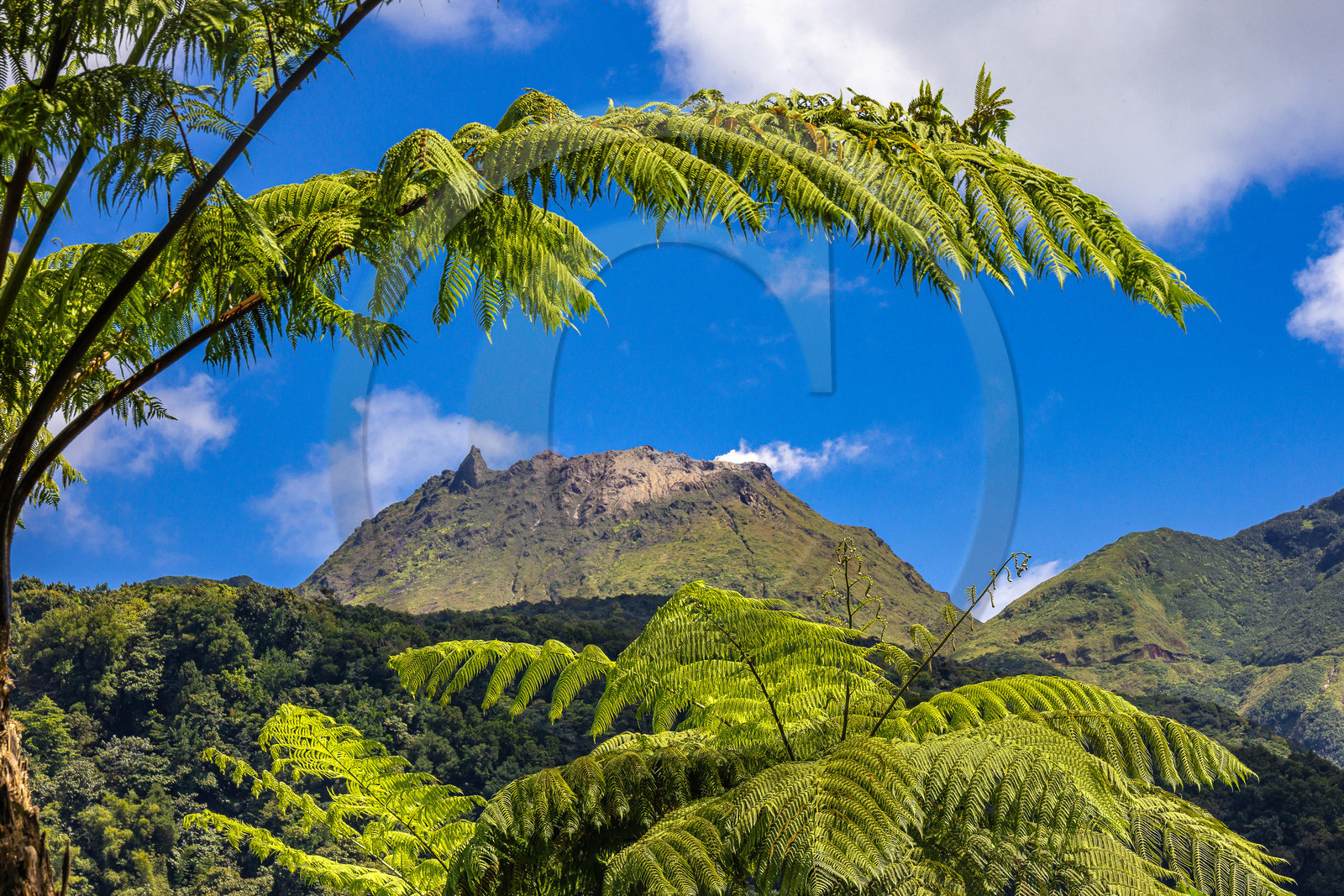 La Soufrière, volcan actif de la Guadeloupe