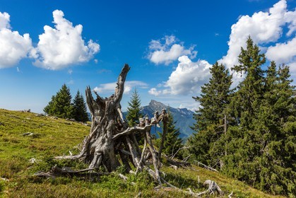 Espace naturel sensible de l'Isère, Col du Coq