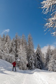 Ski nordique