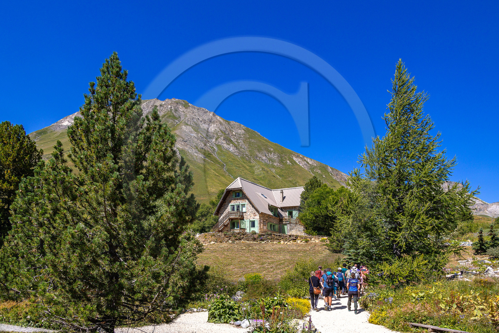 Jardin alpin du Lautaret