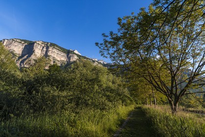 ENS de l'Isère, Marais de Montfort