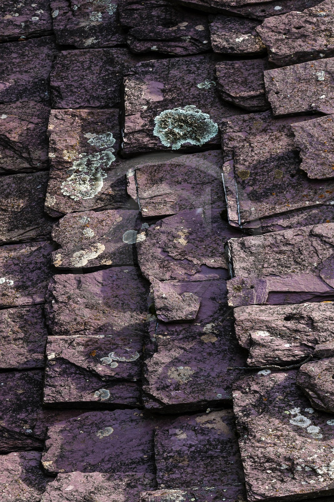 Roure, grange  de pierre rouge avec toit de lauze