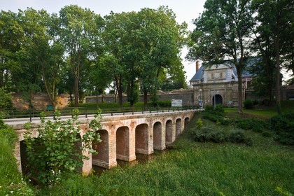Arras
