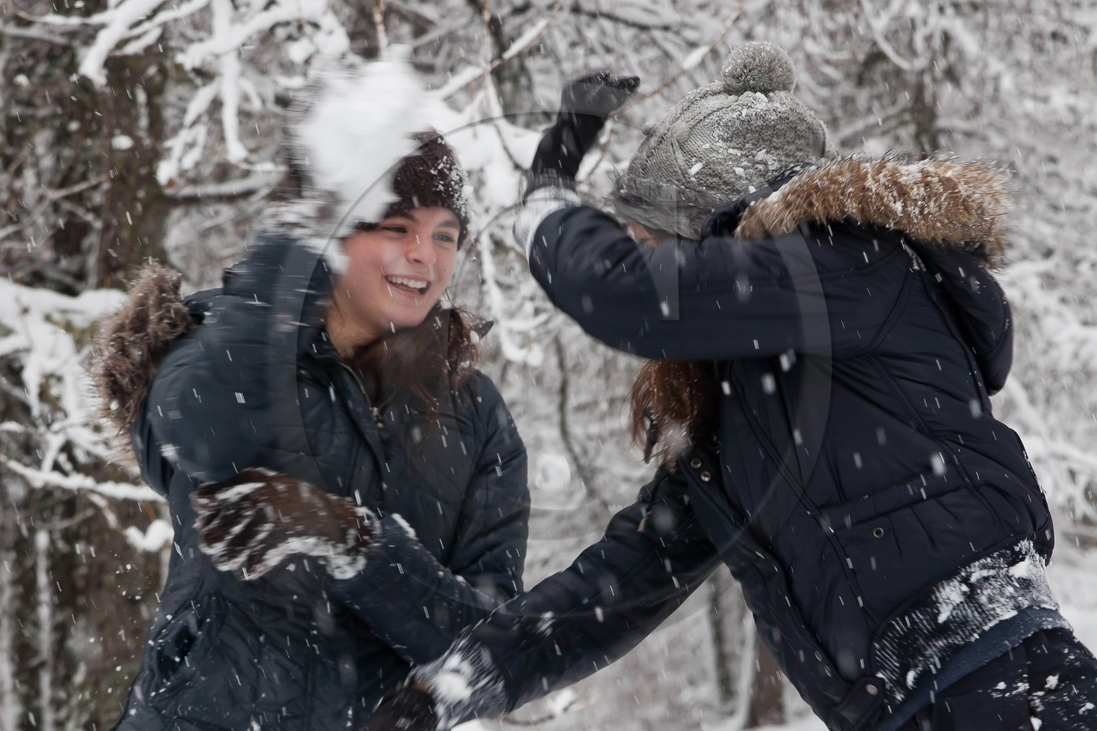 Hiver, randonnée balade sous la neige
