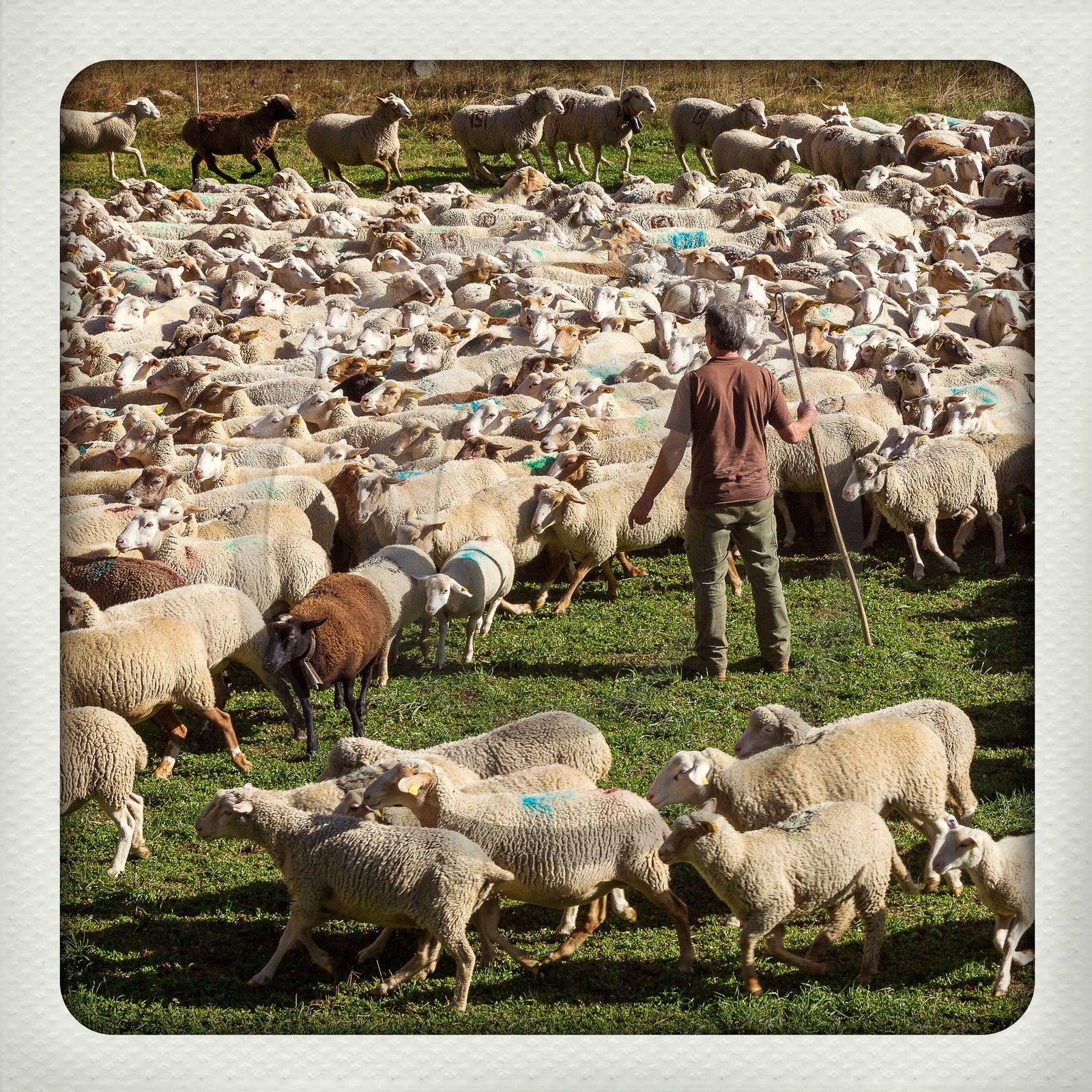 Le Désert, désenmontagnage