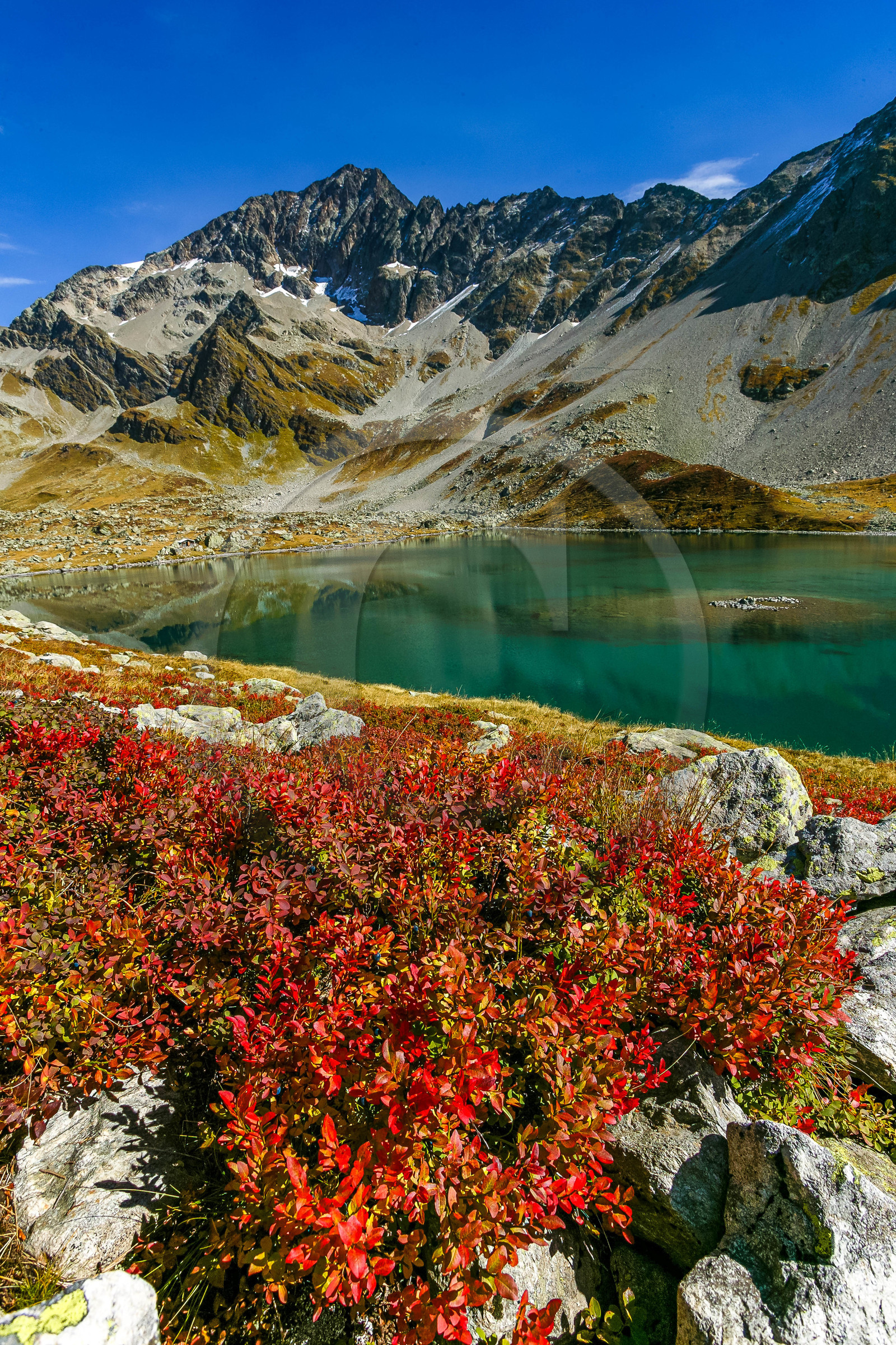 Réserve naturelle des Contamines-Montjoie, Lacs Jovet