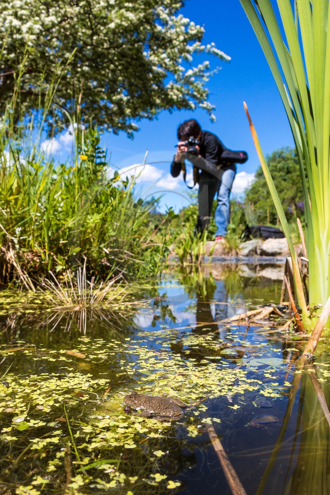 Parc écologique Terre Vivante, stage photo macro nature