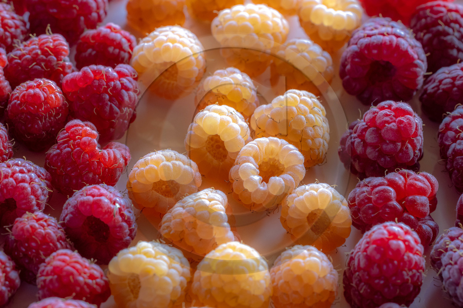 Ecrins de fruits, producteur de fruits rouges