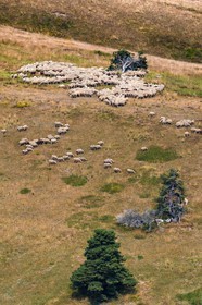 Alpage du Gau