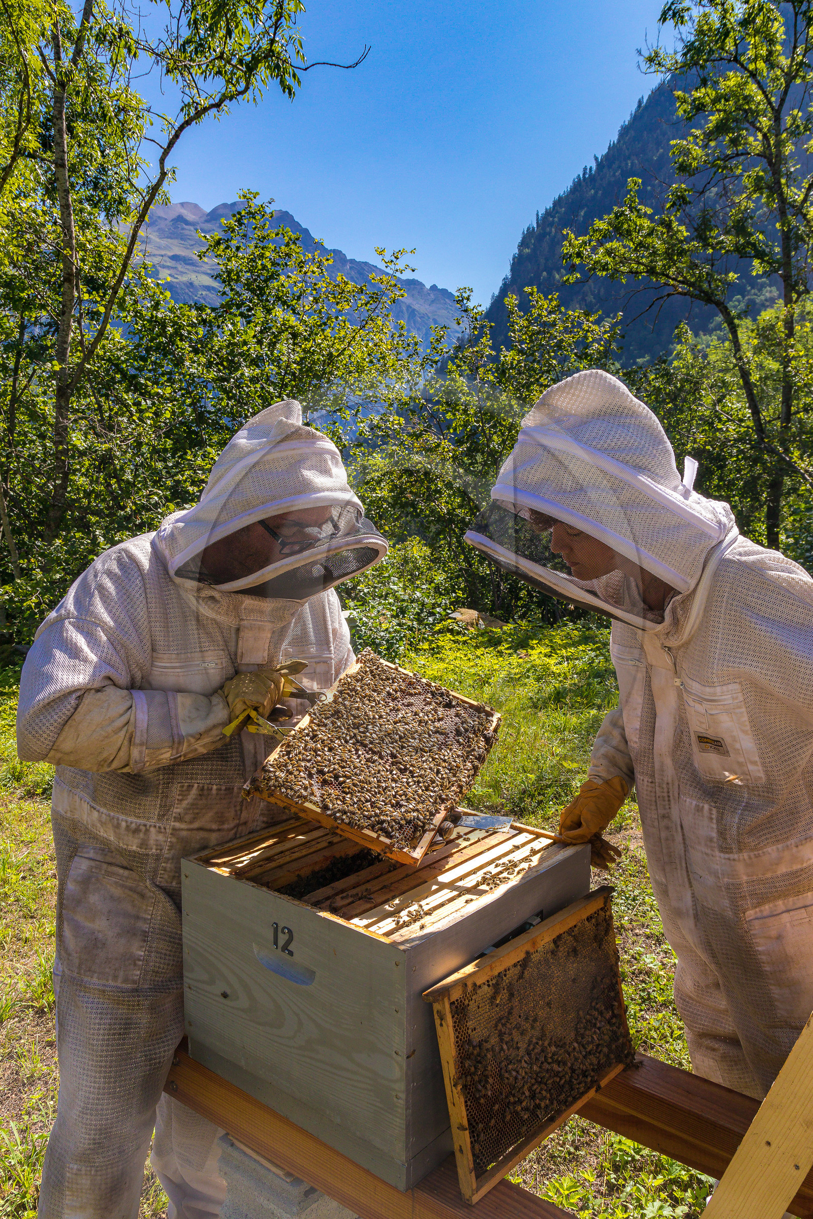 Margaux et Didier Pissard, apiculteurs