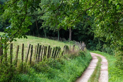 ENS de l'Isère, Marais de Chirens