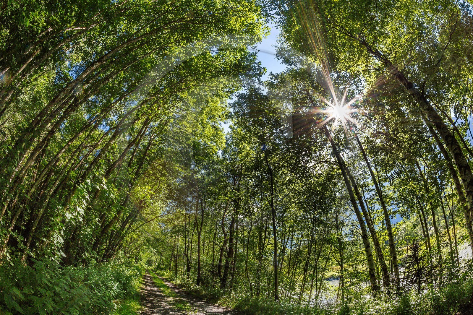 ENS de l'Isère, Vieille morte de Bourg d'Oisans