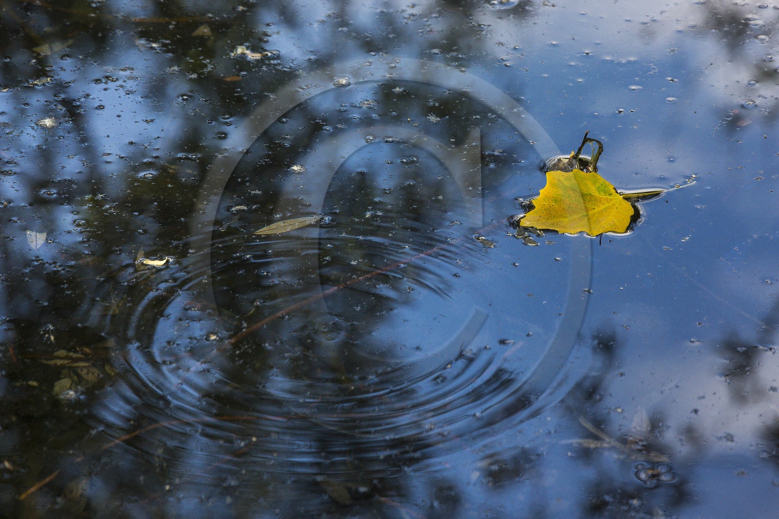 ENS de l'Isère, Boucle de la Taillat