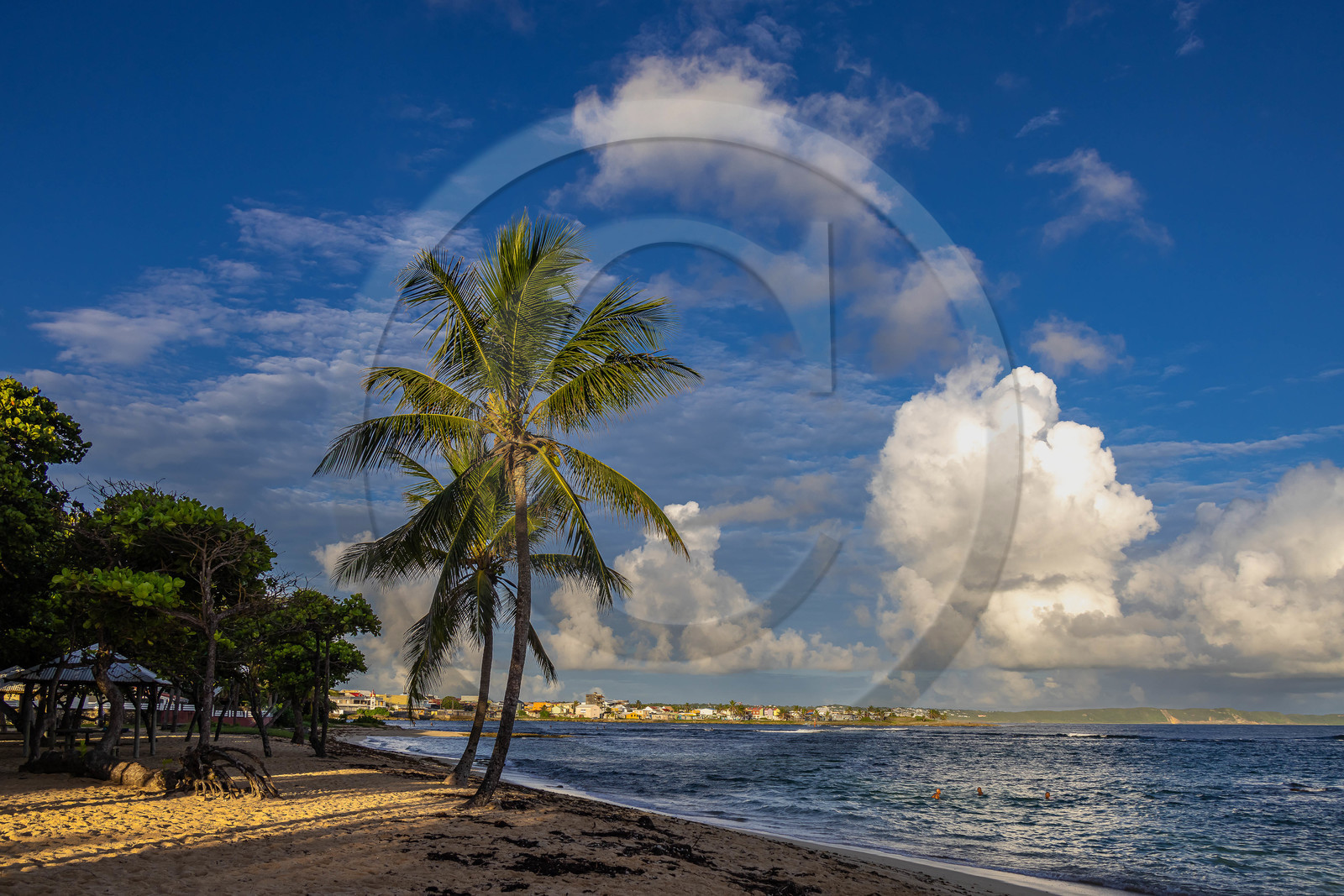 Guadeloupe, Le Moule, plage de L'Autre Bord