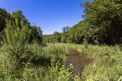 ENS de l'Isère, étang de Cote Manin