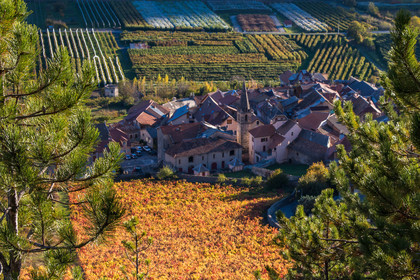 Remollon