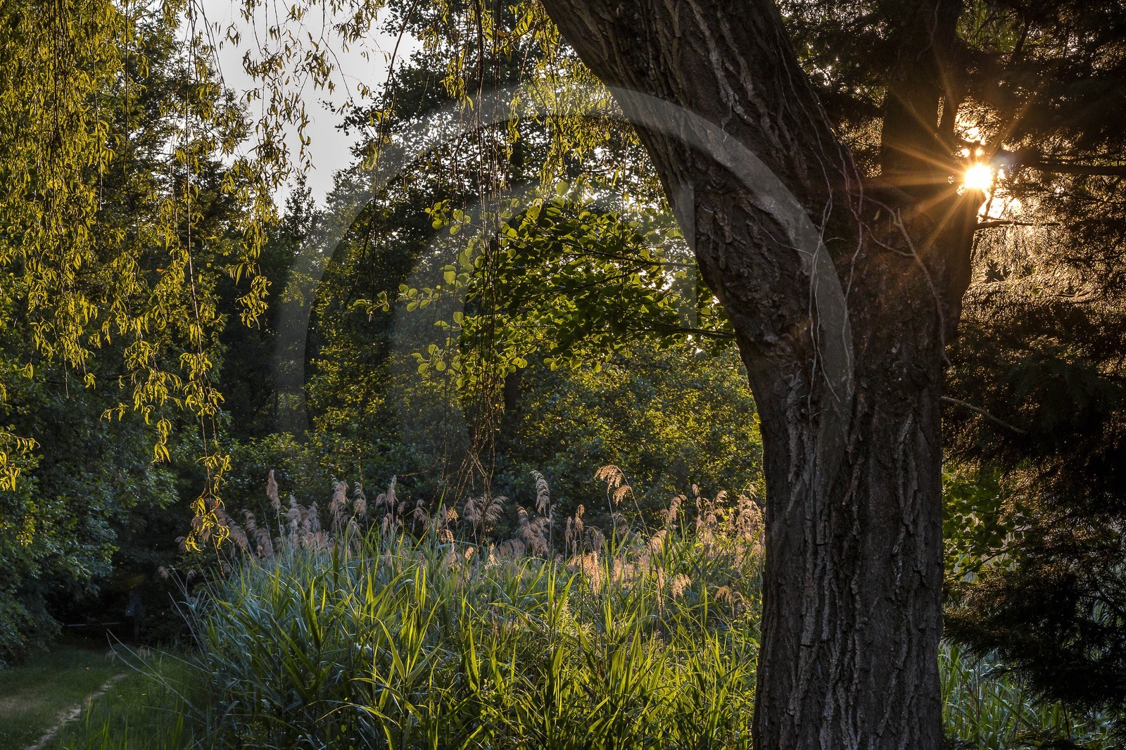 ENS de l'Isère, Prairies inondables de Pont-Évêque
