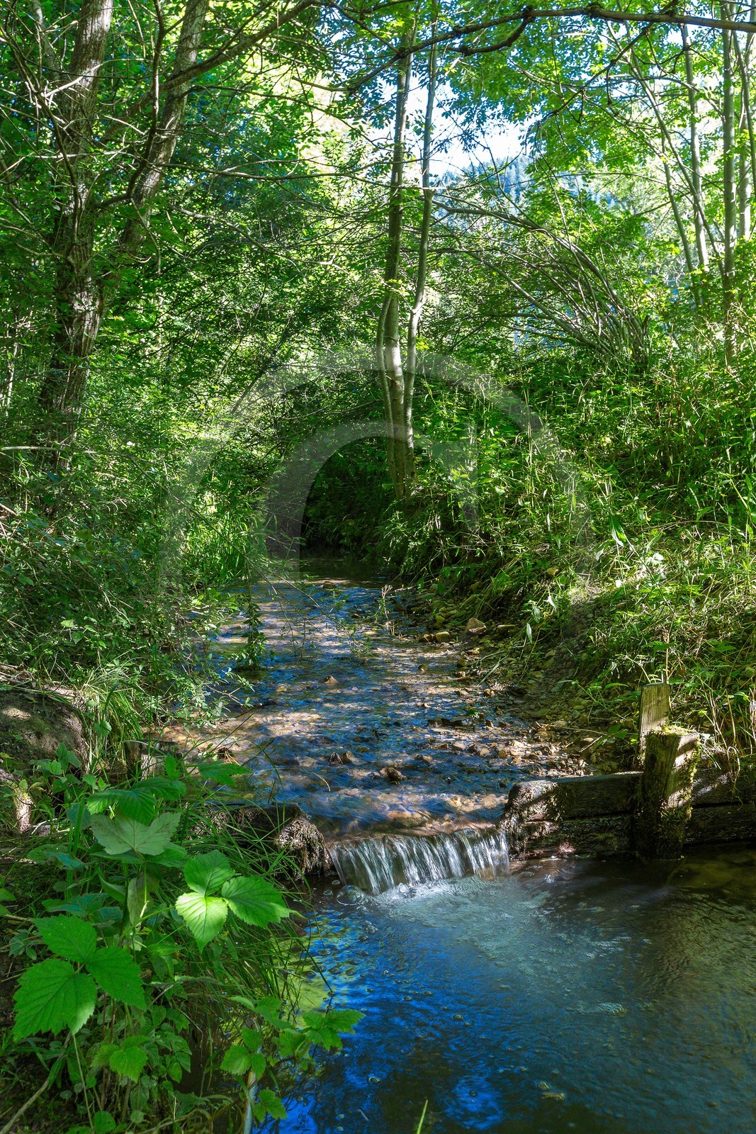 ENS de l'Isère, Marais des Sagnes